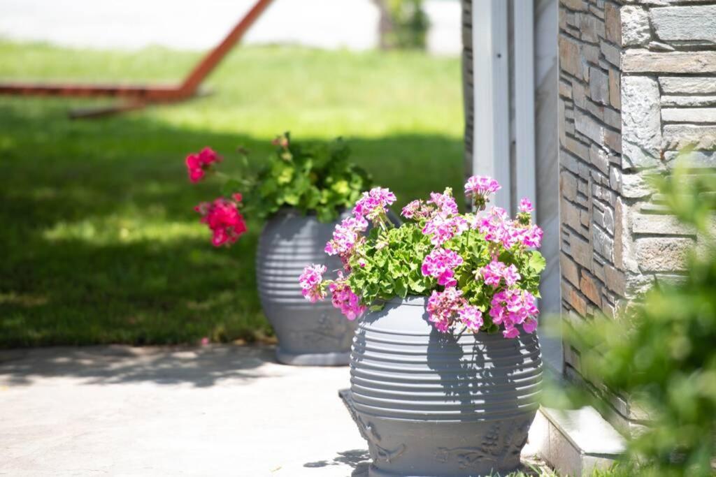 Nuestro Jardin Villa Сикия Екстериор снимка